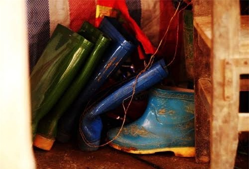 cô giáo, giáo viên, giáo viên vùng cao