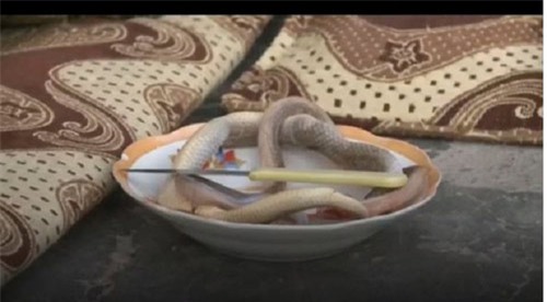 chuyen gia ly giai ve viec nguoi phu nu bi ung thu tu cung song khoe nho... an ran - 1