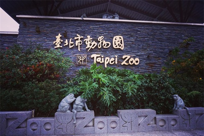 4 ngày 3 đêm vi vu Đài Loan hết công suất chỉ mất 7 triệu đồng - Ảnh 17.