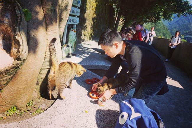 4 ngày 3 đêm vi vu Đài Loan hết công suất chỉ mất 7 triệu đồng - Ảnh 6.