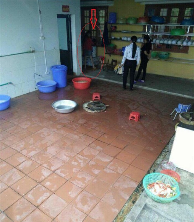 Các cô giáo lên tiếng về việc dọa cắm điện, bế ngược học sinh thả vào máy vặt lông gà - Ảnh 1.