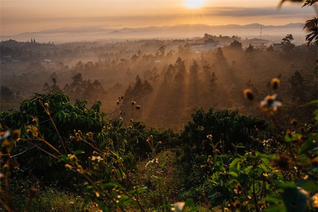 Đà Lạt luôn đẹp trong con mắt của những kẻ mộng mơ - Ảnh 10.