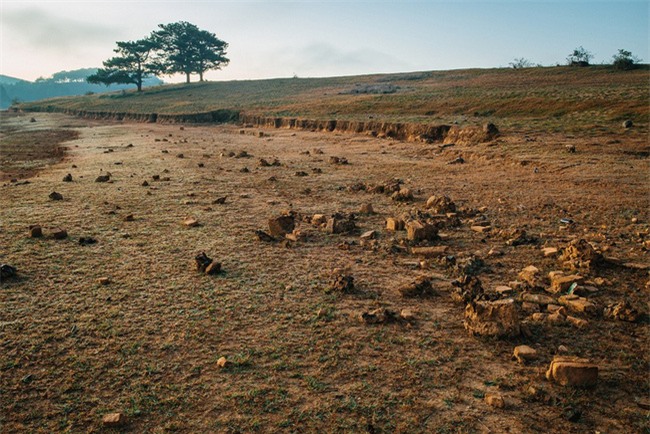 Đà Lạt luôn đẹp trong con mắt của những kẻ mộng mơ - Ảnh 11.