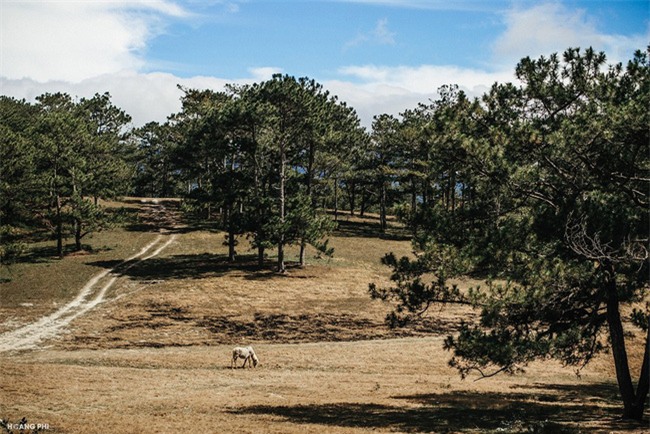 Đà Lạt luôn đẹp trong con mắt của những kẻ mộng mơ - Ảnh 3.