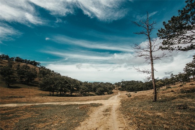 Đà Lạt luôn đẹp trong con mắt của những kẻ mộng mơ - Ảnh 4.