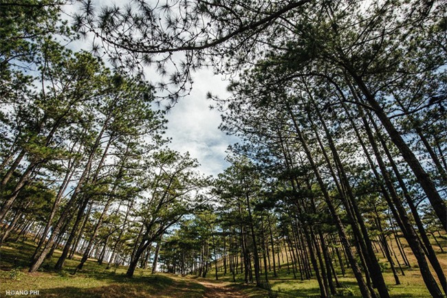 Đà Lạt luôn đẹp trong con mắt của những kẻ mộng mơ - Ảnh 5.