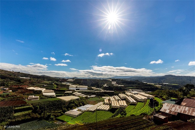 Đà Lạt luôn đẹp trong con mắt của những kẻ mộng mơ - Ảnh 8.