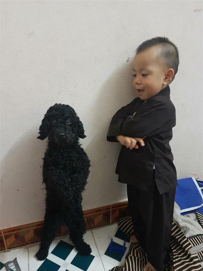 Bức ảnh về tình chị em của cô chó 3 tuổi và cậu nhóc 2 tuổi đốn tim dân mạng - Ảnh 3.