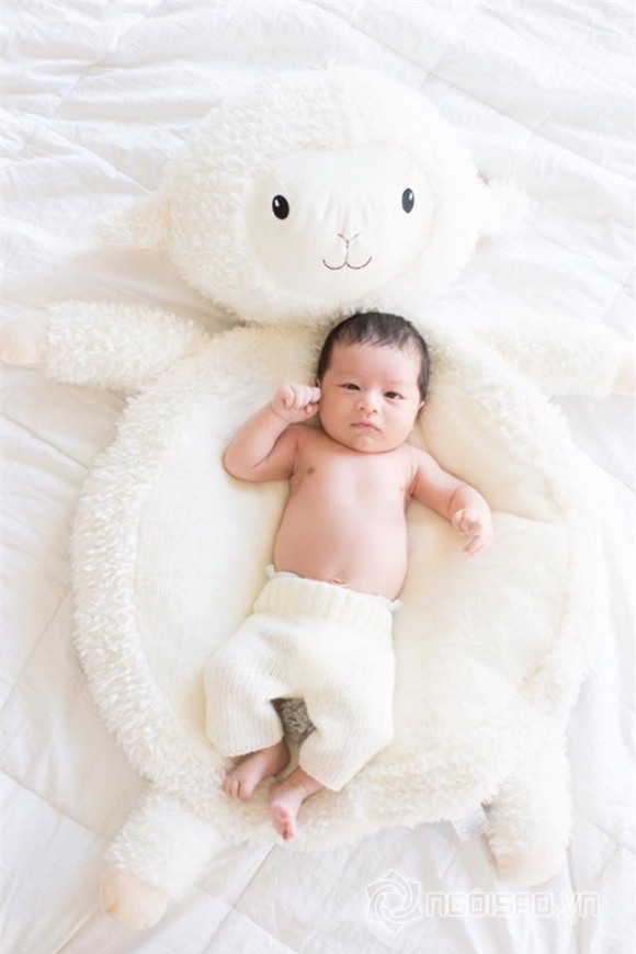 sao việt, đan trường, ca sĩ đan trường, con trai đan trường, vợ đan trường