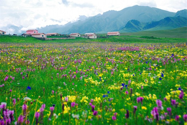 Cảnh đẹp như tranh vẽ của thảo nguyên Tân Cương - Ảnh 17.