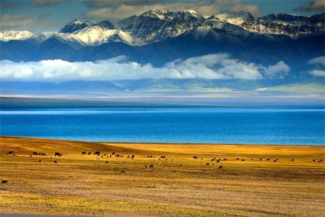 Cảnh đẹp như tranh vẽ của thảo nguyên Tân Cương - Ảnh 20.
