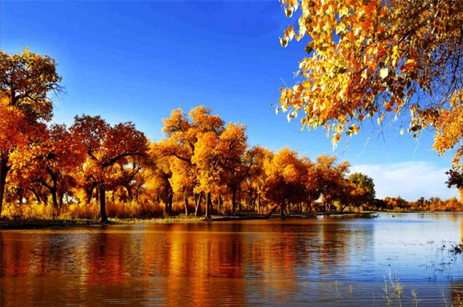 Cảnh đẹp như tranh vẽ của thảo nguyên Tân Cương - Ảnh 21.