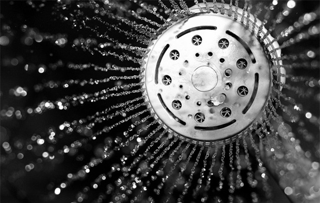 Những thứ đáng sợ này trong vòi hoa sen có thể khiến bạn mang bệnh - Ảnh 3.