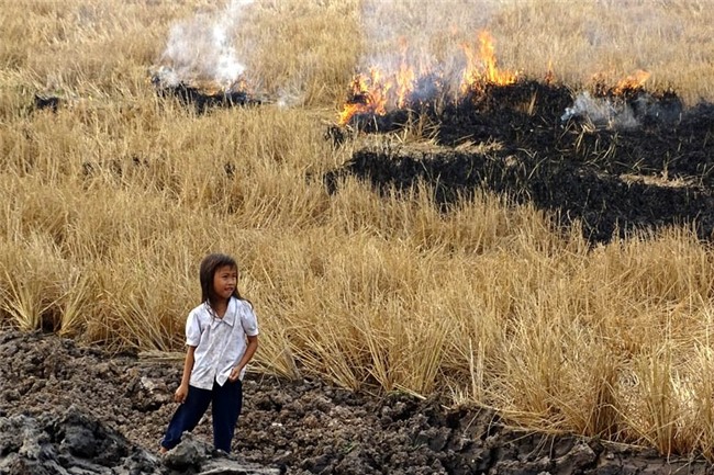 biến đổi khí hậu, hạn hán, xâm nhập mặn, El Nino