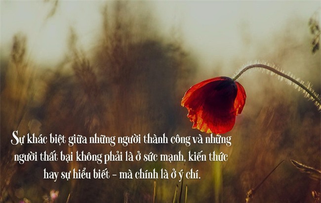 Người đàn ông cụt tay và đoạn clip cảm động hút 5 triệu lượt xem - Ảnh 2.