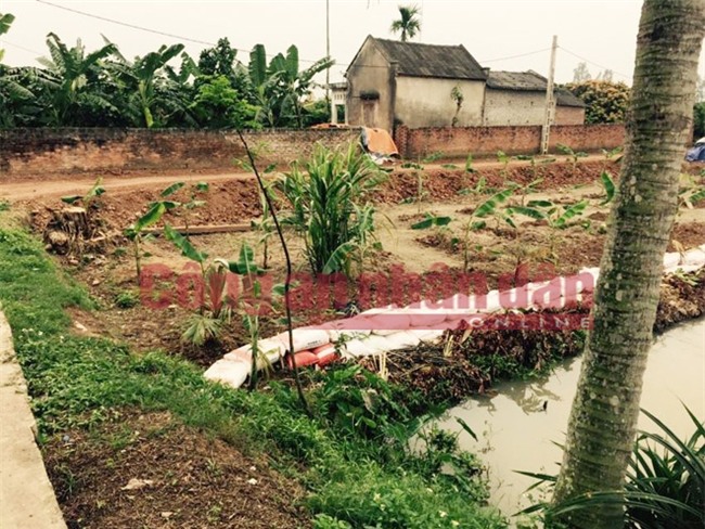 loi khai lanh nguoi cua 2 nghi pham vu thi the bi troi trong bao tai hinh anh 2
