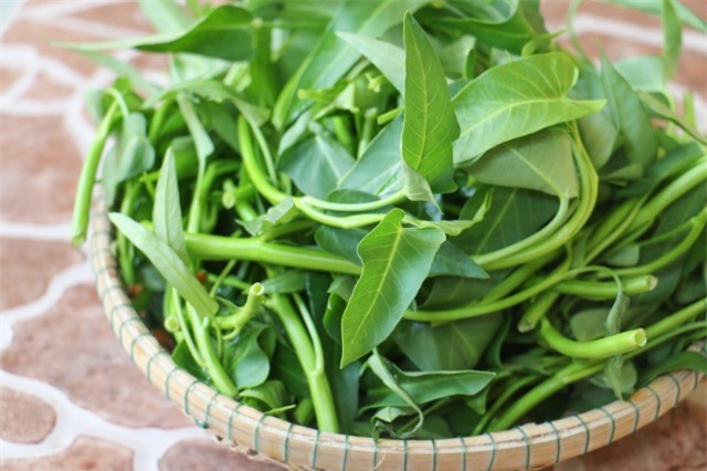 Loại rau quen thuộc mâm cơm nhà nào cũng có chữa được bách bệnh mà bạn thường nhắm mắt làm ngơ - Ảnh 1.