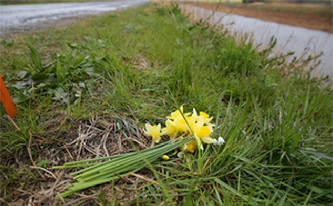 Thi thể bé gái Việt sẽ trở về quê hương vào đầu tháng 4