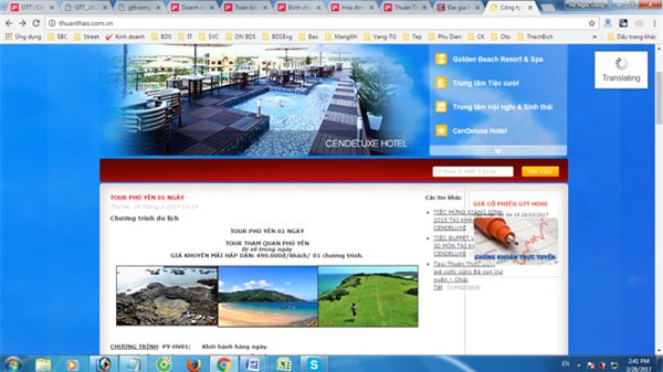 nữ đại gia, Thuận Thảo, công ty Thuận Thảo, doanh nghiệp gia đình, đầu tư dàn trải, đòn bẩy tài chính, cổ phiếu giấy lộn, Võ Thị Thanh, khủng hoảng bất động sản, khách sạn 5 sao, khủng hoảng kinh tế