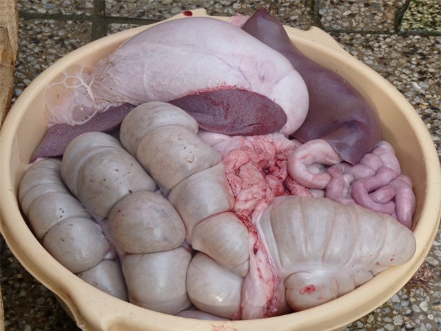 Nội tạng lợn: Thứ gì nên ăn, thứ gì không nên ăn, ăn bao nhiêu là đủ? - Ảnh 2.