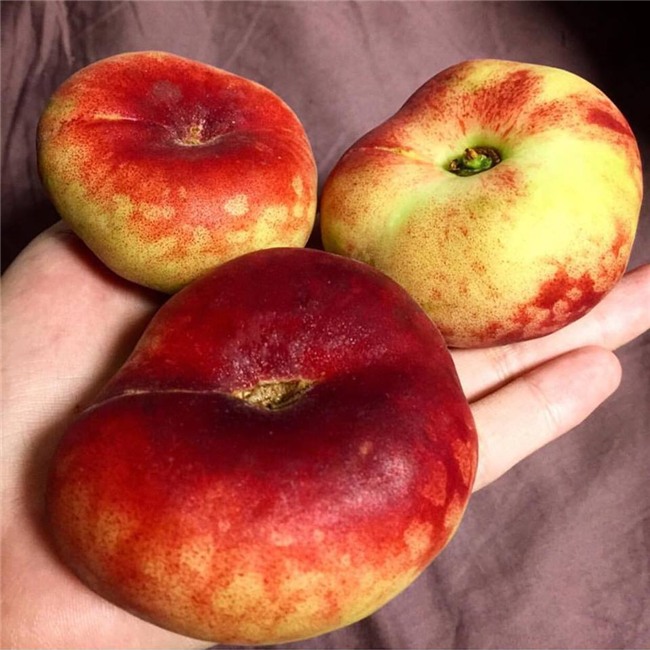 dao la hinh banh ran - mon an vat 