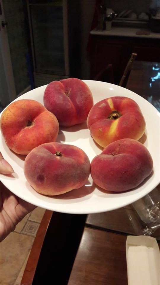 dao la hinh banh ran - mon an vat 