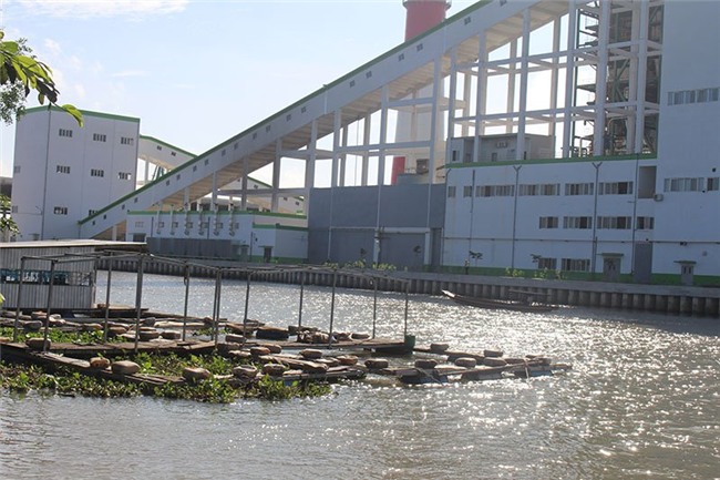 trùm nilông ngủ vì ô nhiễm, nhà máy giấy, ô nhiễm