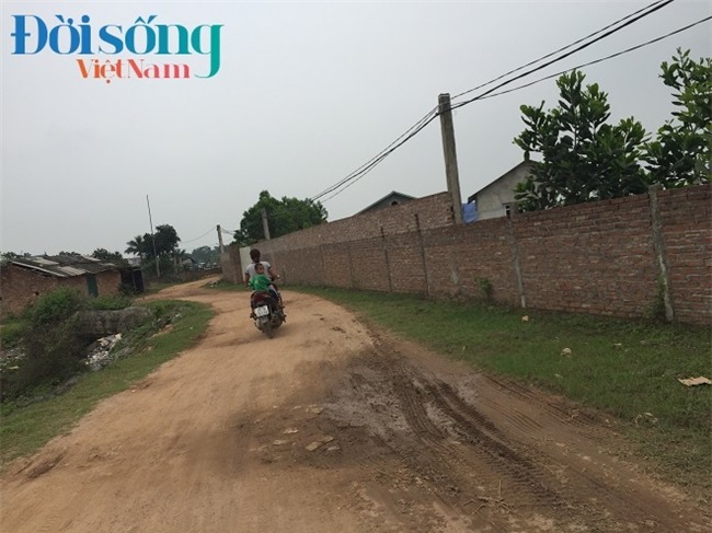 Bị tố làm giả sữa mẹ 1