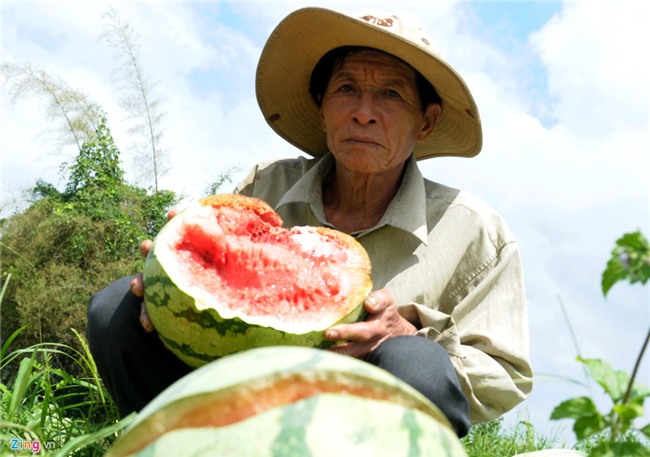 Dua hau con 1.000 dong/kg, huyen lap duong day nong giai cuu hinh anh 3