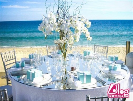 cao thai son blogtamsuvn (5)