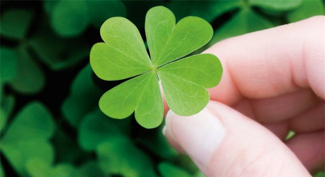 Hạnh phúc cỡ nào rồi thì vợ chồng có lúc cãi nhau vì tiền bạc, khi đó bạn hãy giải quyết thế này... - Ảnh 3.