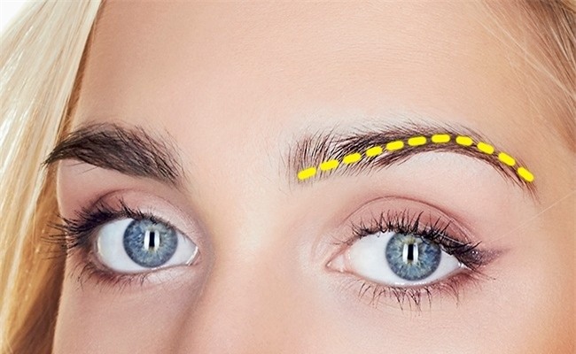 hay can than, hinh dang long may co the