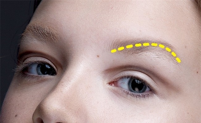 hay can than, hinh dang long may co the