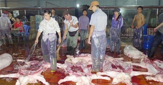 thịt lợn nhiễm khuẩn, khuẩn tiêu chảy, thịt lợn, cục thú ý, cơ sở giết mổ