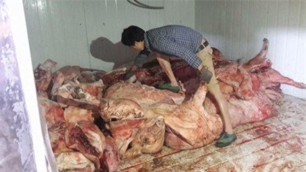 thịt lợn thối, đặc sản, bánh trôi, mỳ cay, dưa hấu, dưa hấu Nhật, cà phê, cây sưa,