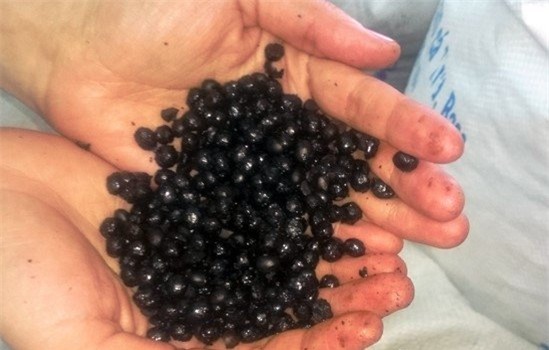 thịt lợn thối, đặc sản, bánh trôi, mỳ cay, dưa hấu, dưa hấu Nhật, cà phê, cây sưa,