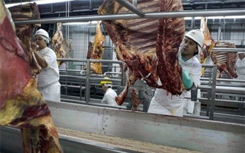 thịt lợn thối, đặc sản, bánh trôi, mỳ cay, dưa hấu, dưa hấu Nhật, cà phê, cây sưa,
