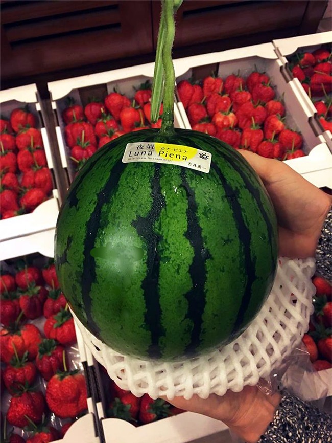 thịt lợn thối, đặc sản, bánh trôi, mỳ cay, dưa hấu, dưa hấu Nhật, cà phê, cây sưa,