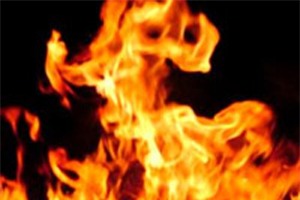 nghi an chong chem chet vo roi dung xang tu thieu hinh anh 1