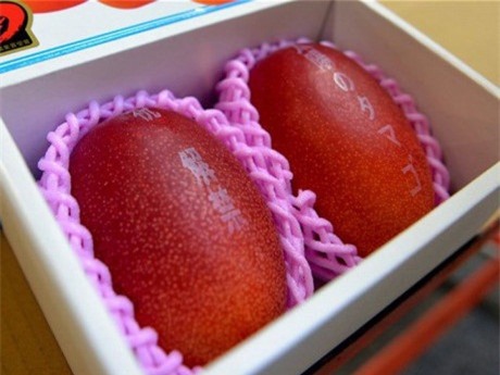 an mot qua, mat luon...xe hoi, loai trai cay nay chi danh cho "nguoi chiu choi" - 2