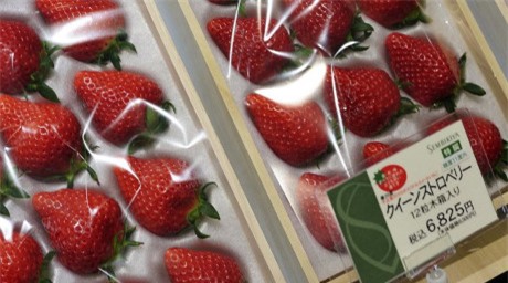 an mot qua, mat luon...xe hoi, loai trai cay nay chi danh cho "nguoi chiu choi" - 9