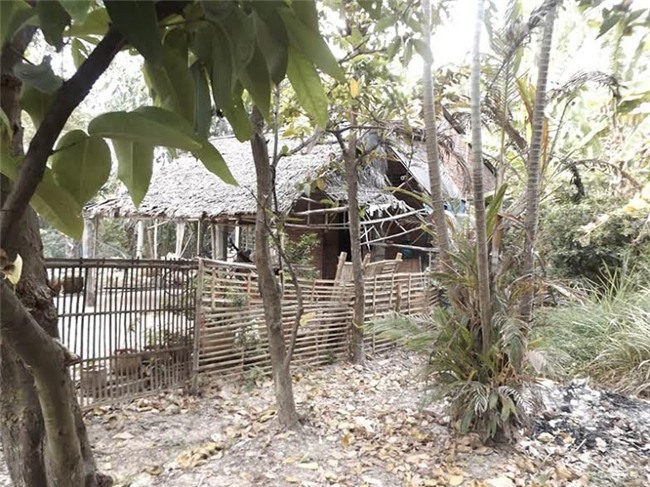 xâm hại trẻ em, hiếp dâm trẻ em, hiếp dâm, dâm ô, ấu dâm