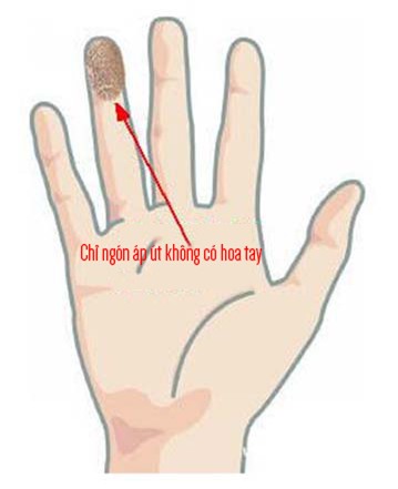 Hay nghe nói người này có quý nhân phù trợ, nhìn vào tay là thấy ngay! - Ảnh 2.