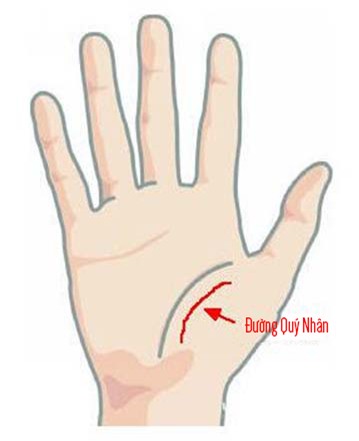 Hay nghe nói người này có quý nhân phù trợ, nhìn vào tay là thấy ngay! - Ảnh 4.