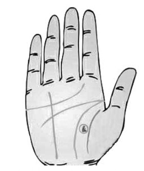 Hay nghe nói người này có quý nhân phù trợ, nhìn vào tay là thấy ngay! - Ảnh 8.