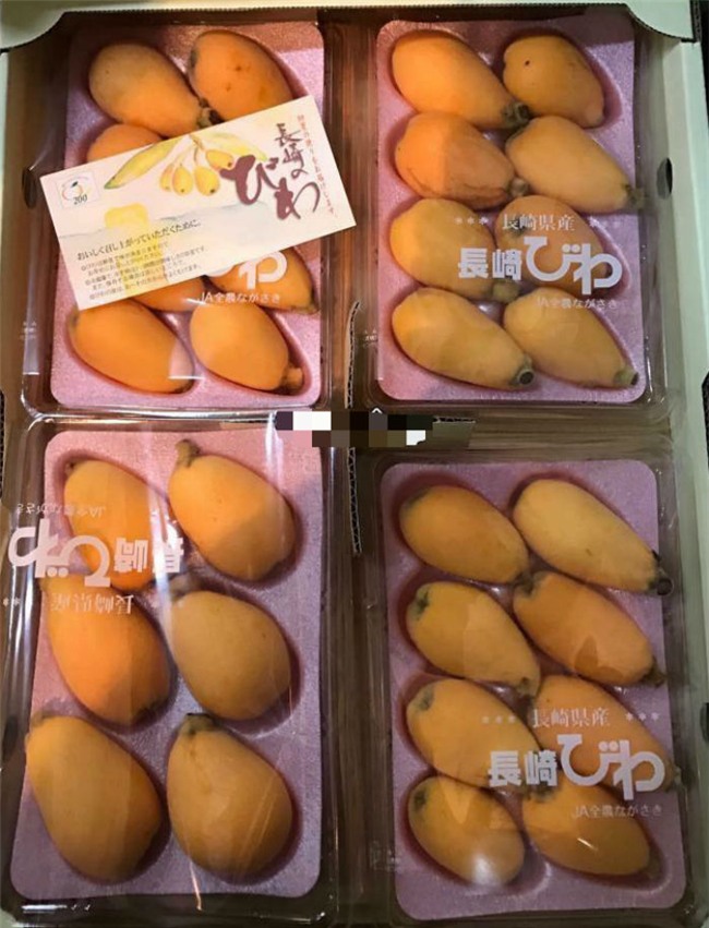 quả lạ, hoa quả nhập ngoại, hoa quả nhật bản, hoa quả nhập khẩu