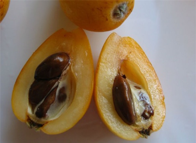 quả lạ, hoa quả nhập ngoại, hoa quả nhật bản, hoa quả nhập khẩu