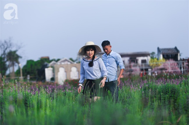 Không cần đi Tây, ở ngay Hà Nội cũng có vườn lavender tím rực khiến chị em ngất ngây - Ảnh 5.