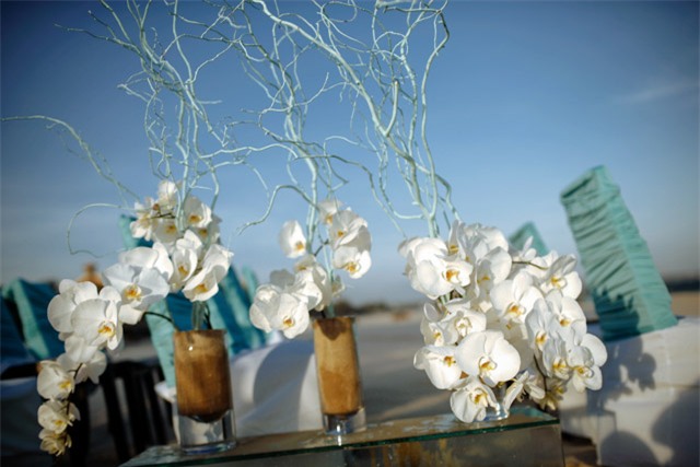 Cặp đôi 14 năm đèo nhau bằng xe máy thay vì xế hộp và hôn lễ kỳ công đẹp long lanh tại biển Phan Thiết - Ảnh 11.