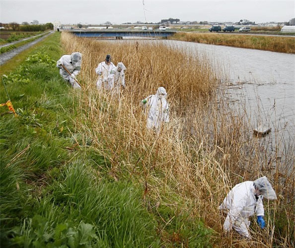 10 ngay vu an be gai Viet bi sat hai o Nhat gay chan dong hinh anh 5